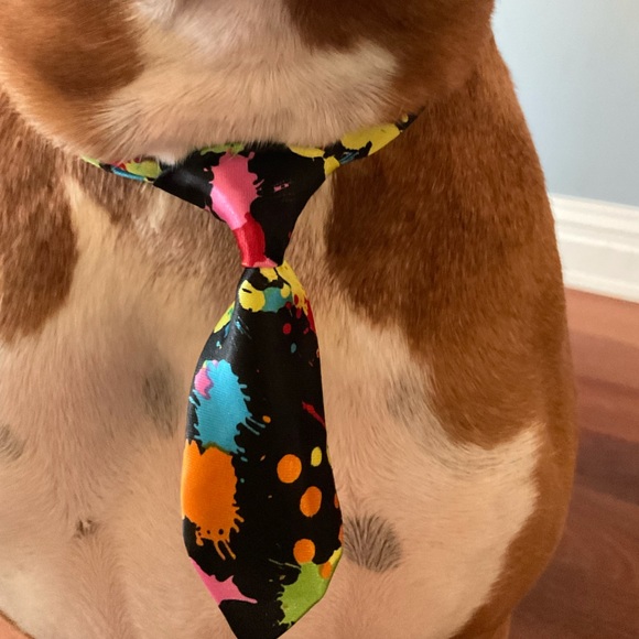 Other - 3/20 Adjusting Dog Neck Tie Collar